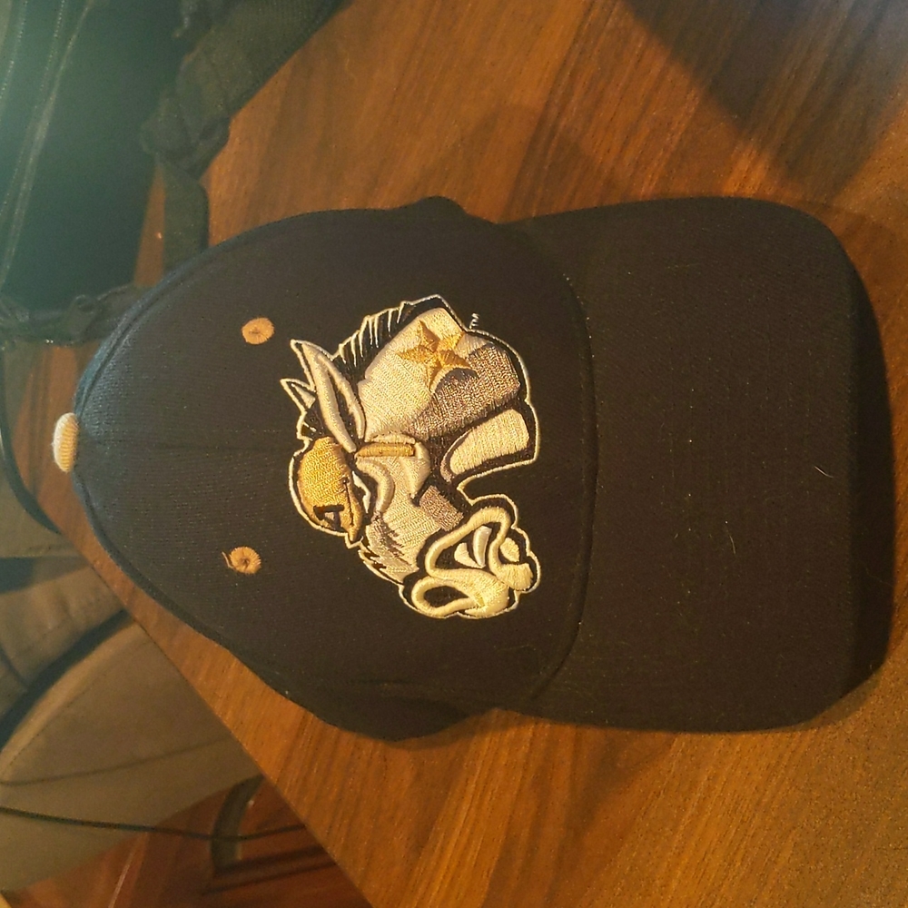 Army Sports Hat